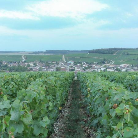 Une Parenthese En Champagne Jaucourt Exteriör bild