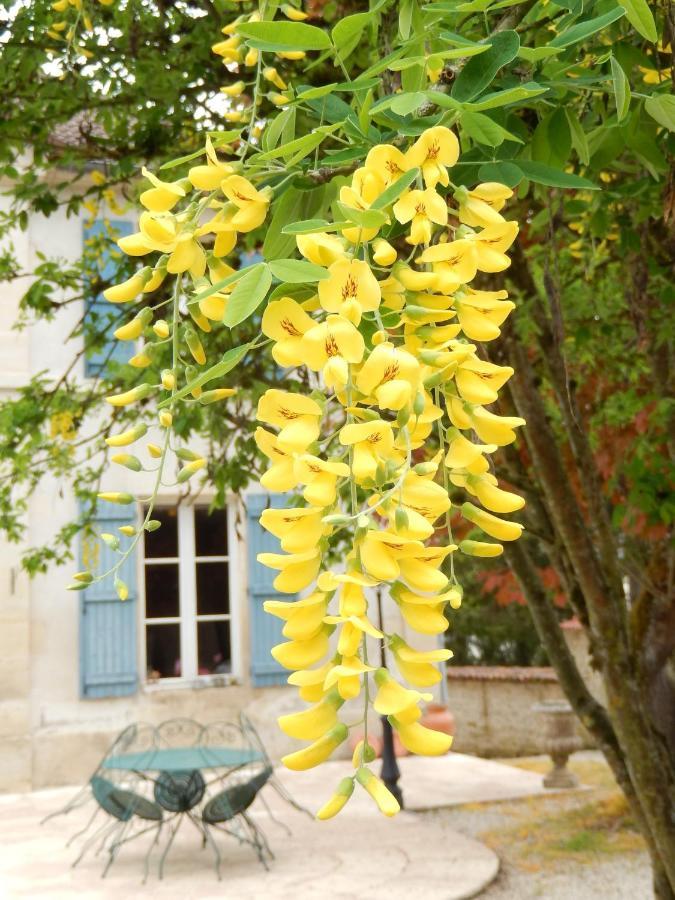 Une Parenthese En Champagne Jaucourt Exteriör bild