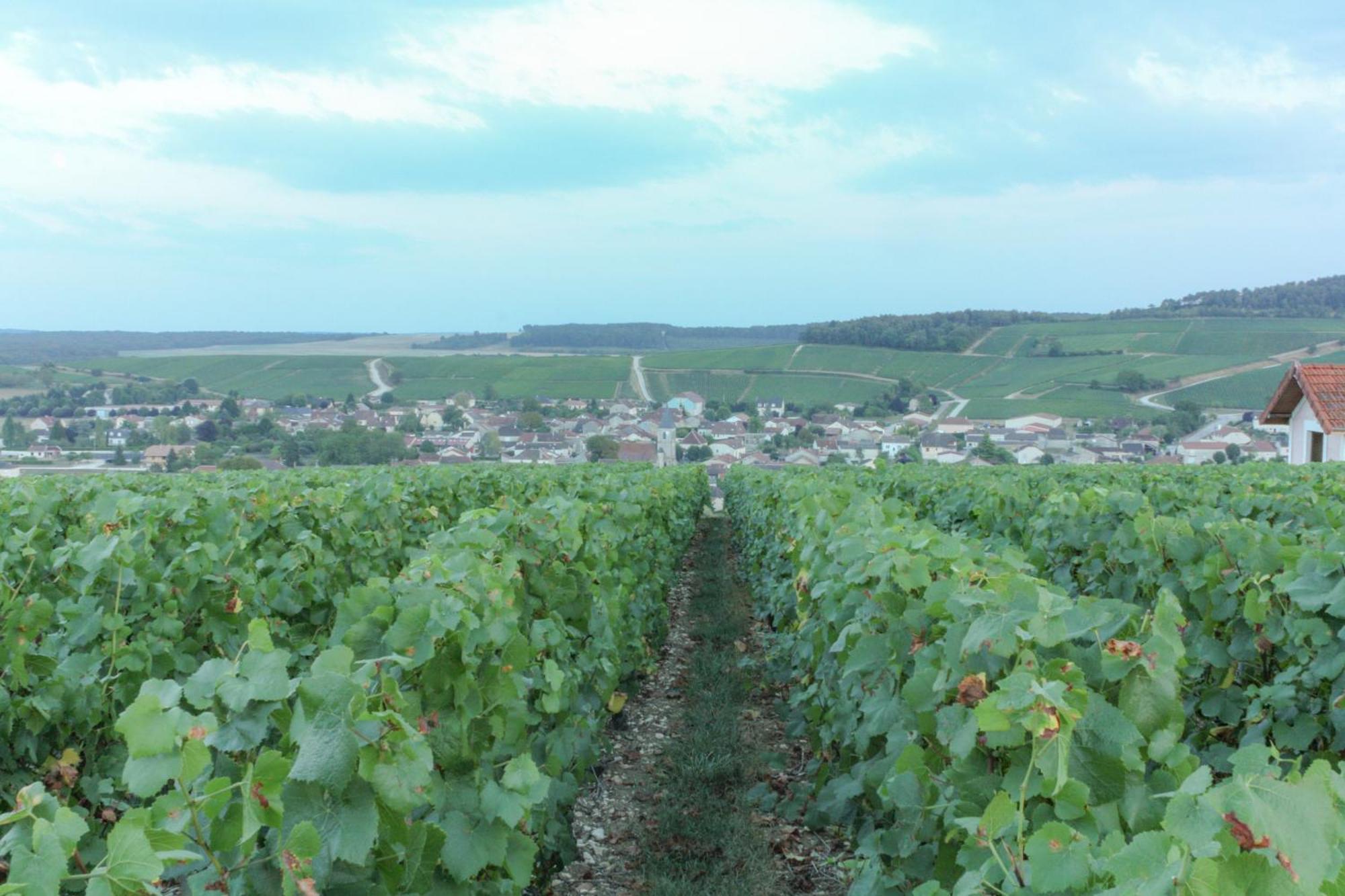 Une Parenthese En Champagne Jaucourt Exteriör bild
